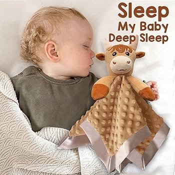 Baby Comfort Toy With Blanket