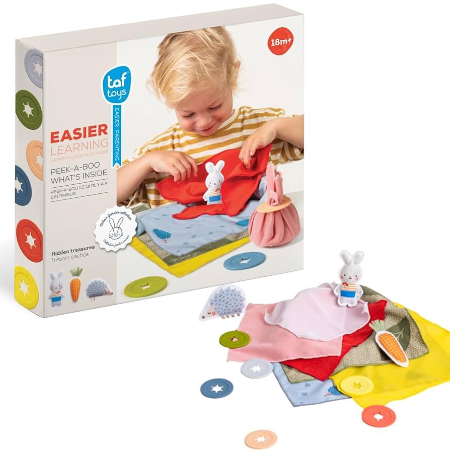 Baby Toy for Motor Skills Development