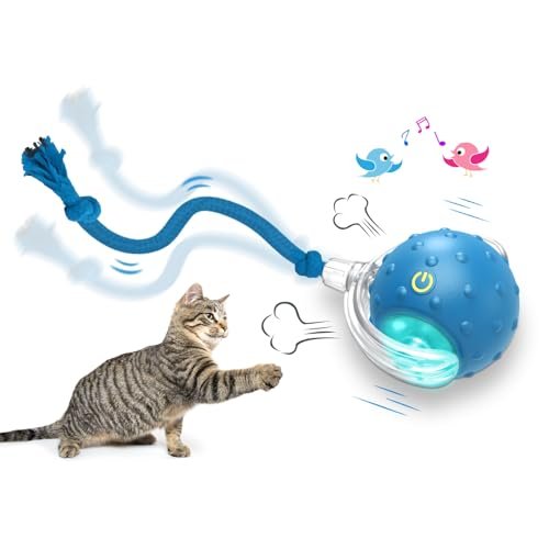 Ball Toys Cats Interactive