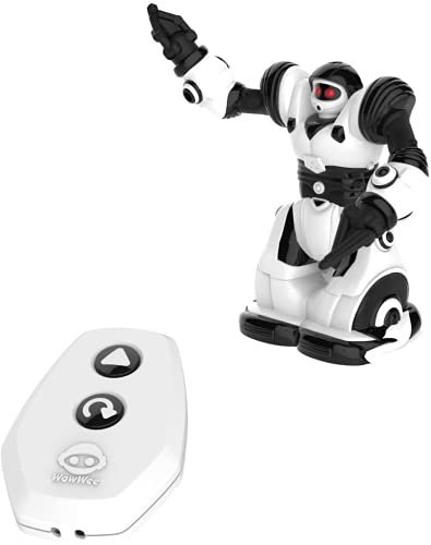 Black And White Robot Toy