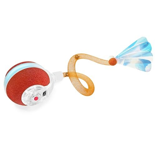 Cat Ball Toy
