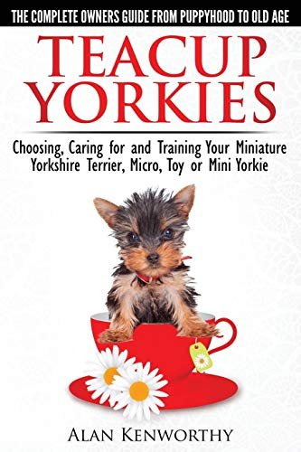 Cute Miniature Dogs