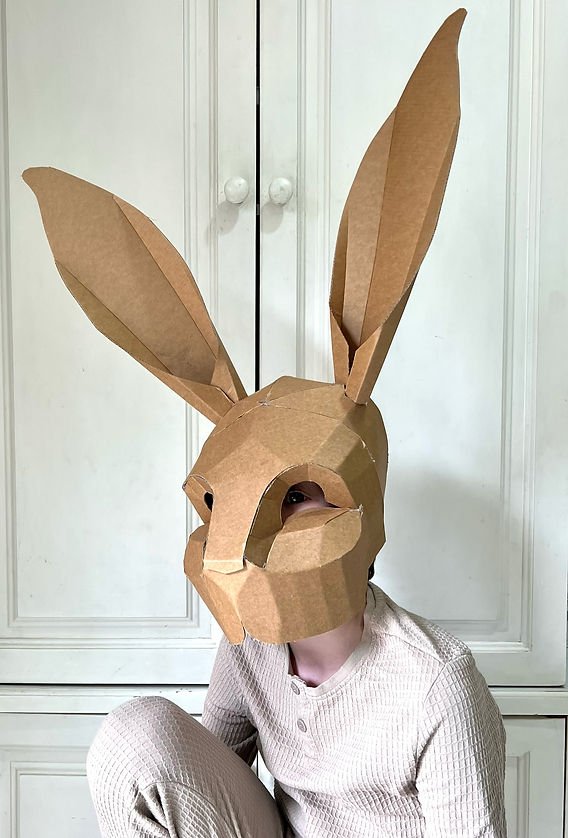 Diy Cardboard Toy Masks