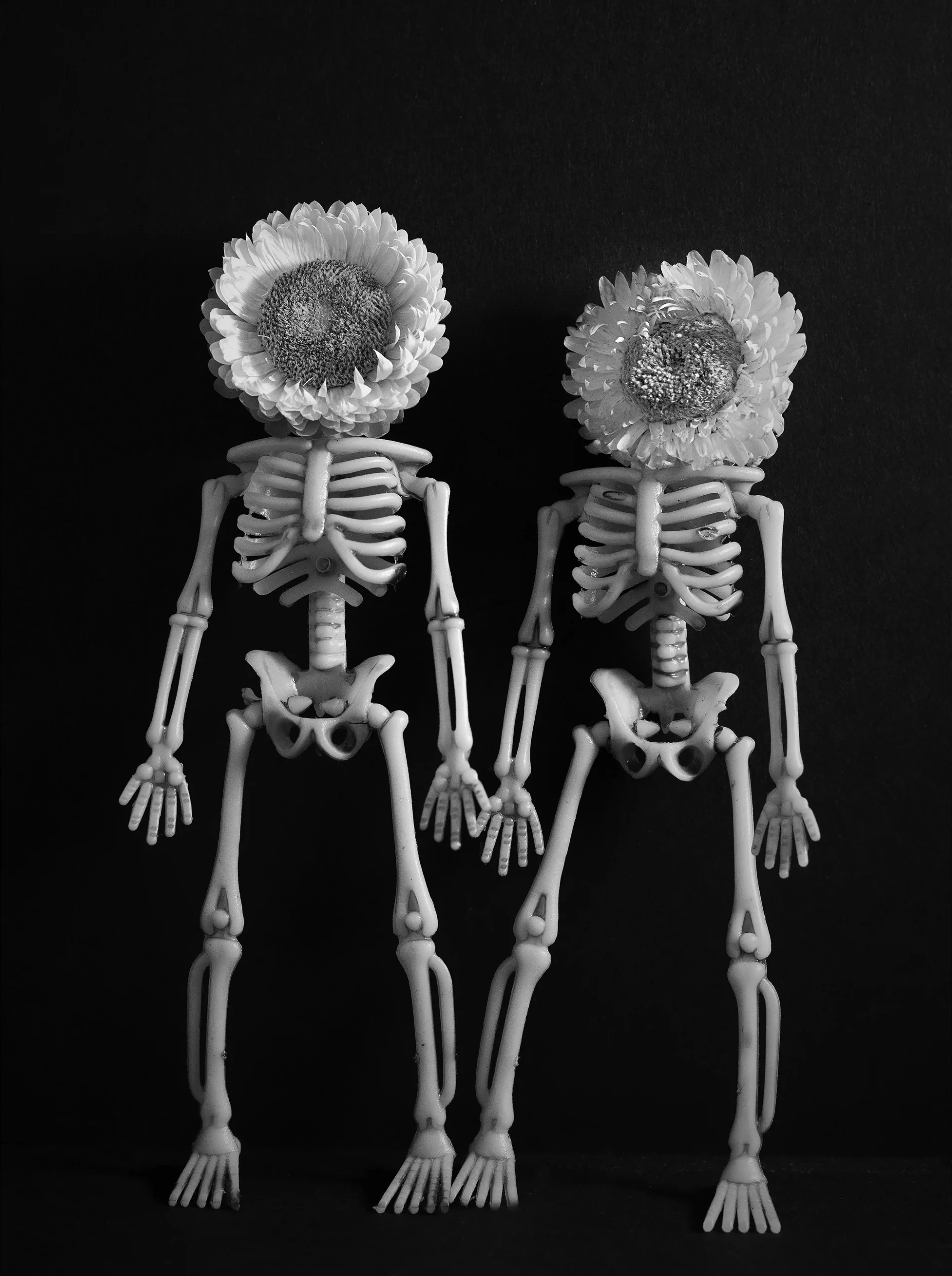 Diy Wooden Toy Skeleton Model