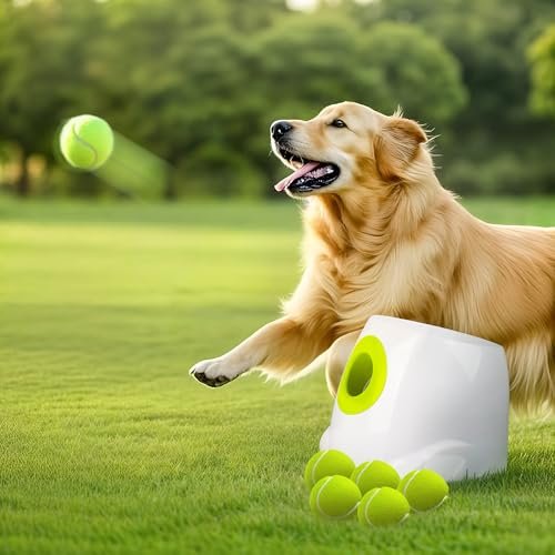 Dog Toy Ball Launcher for Big Dogs