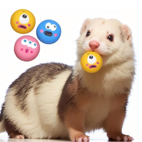 Ferret Toy Ball