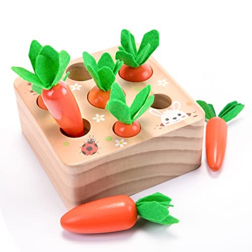 Fine Motor Toys for Infants