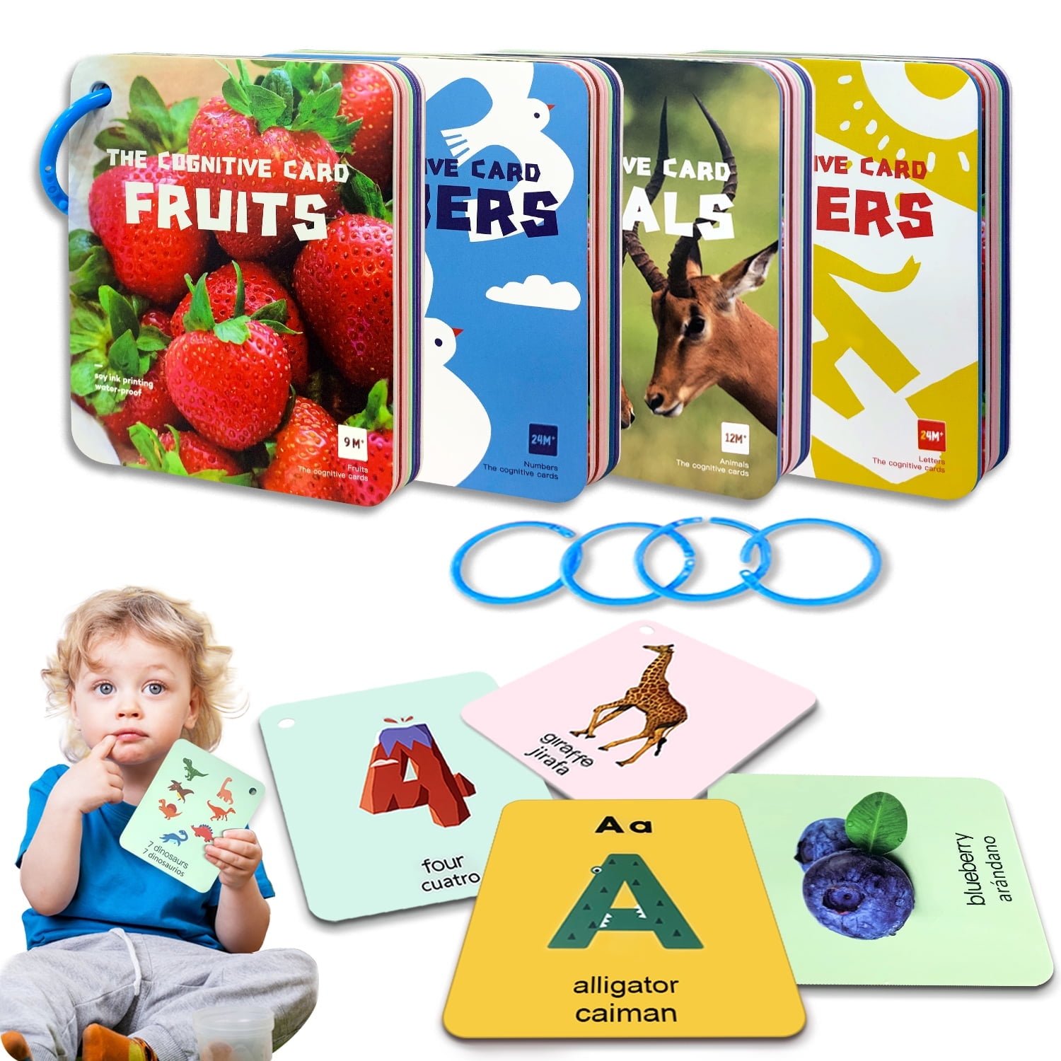 Foreign Language Toy Flash Cards