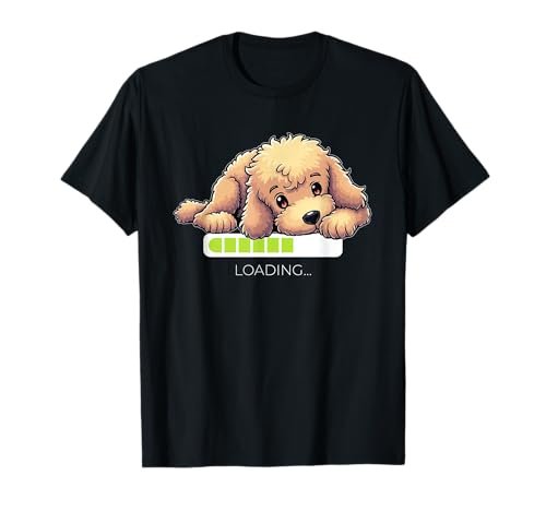 Full Grown Toy Poodle Vs Miniature Poodle
