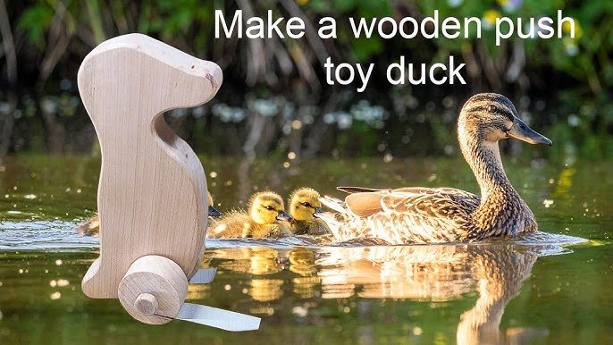 How to Make a Walking Duck Toy Diy