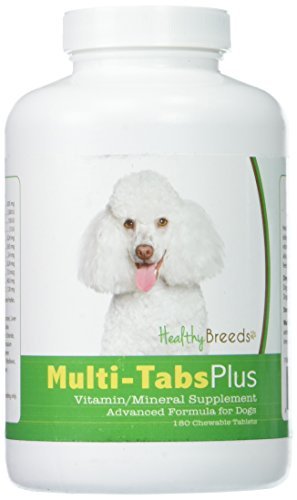 Miniature Toy Poodle Price