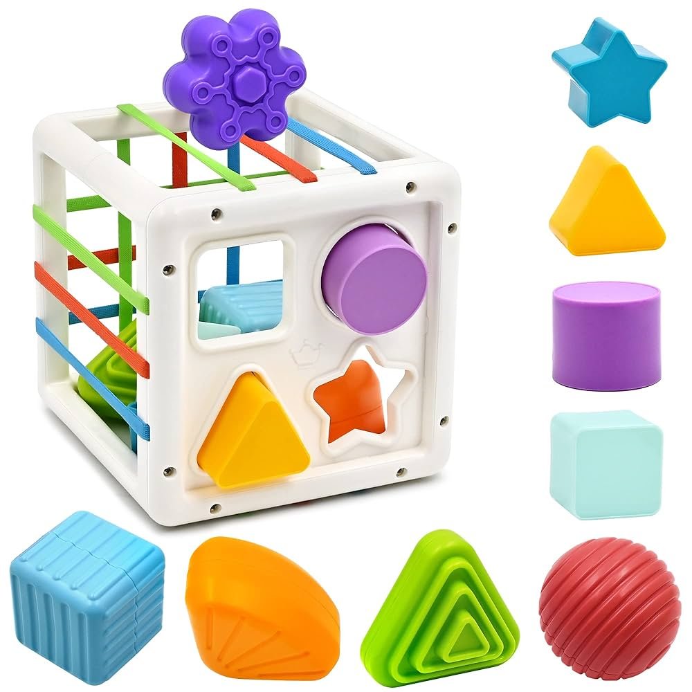 Montessori Shape Sorter Toy
