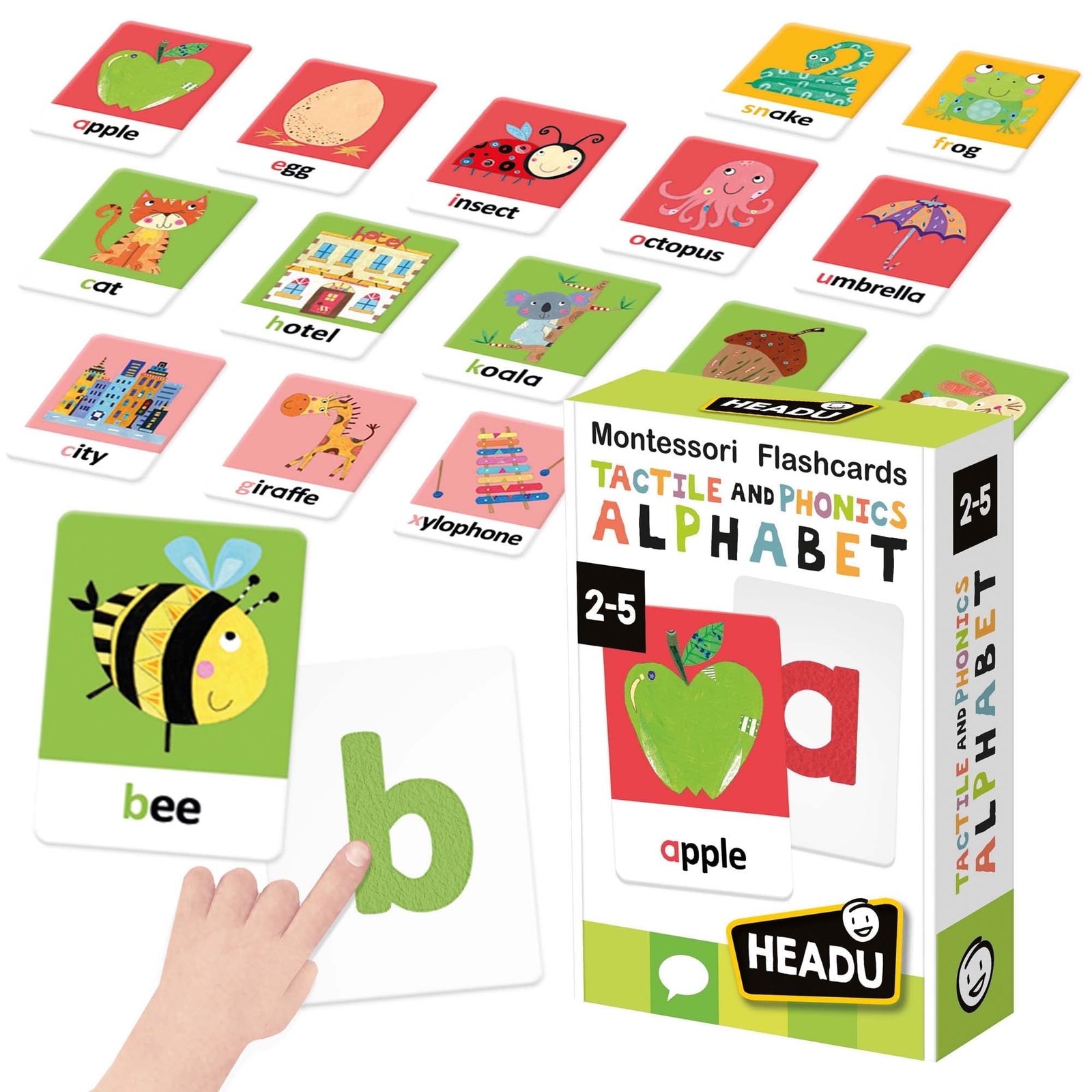 Phonics Learning With Flash Card Toys