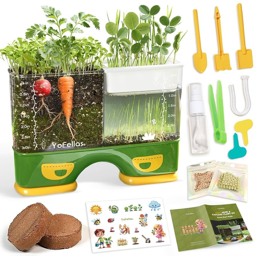Plant Growth Educational Toy Sets