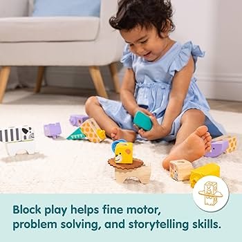 Problem Solving With Toy Blocks