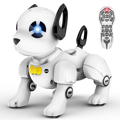 Programmable Robotic Toys
