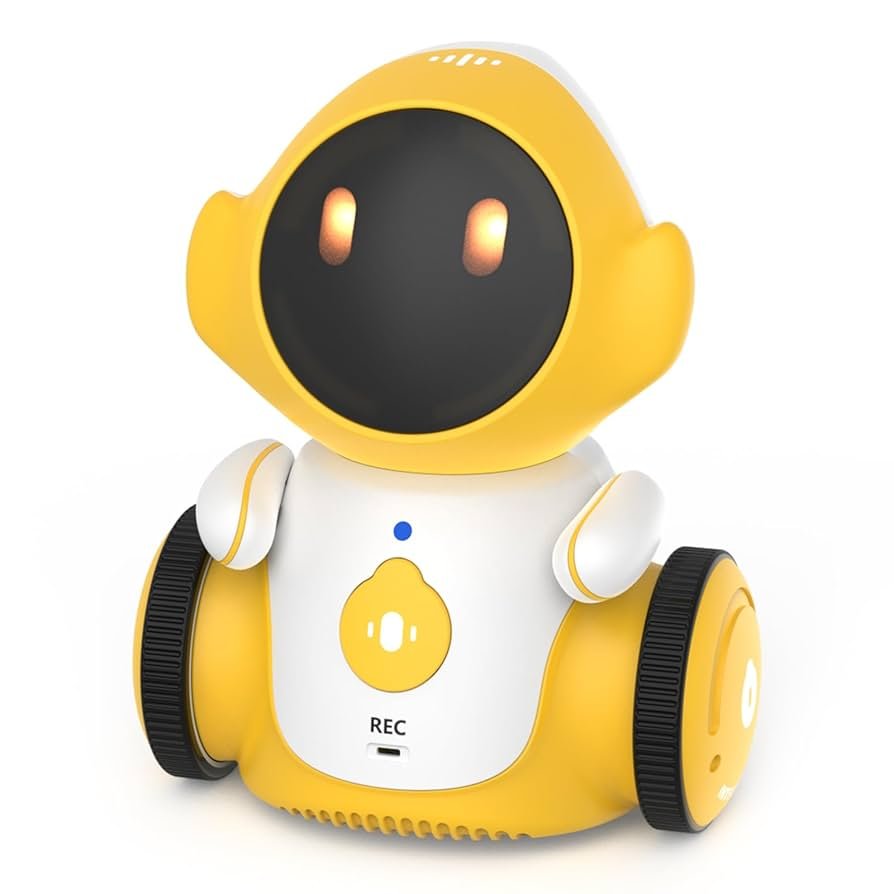 Robot Companion Toy for Teens