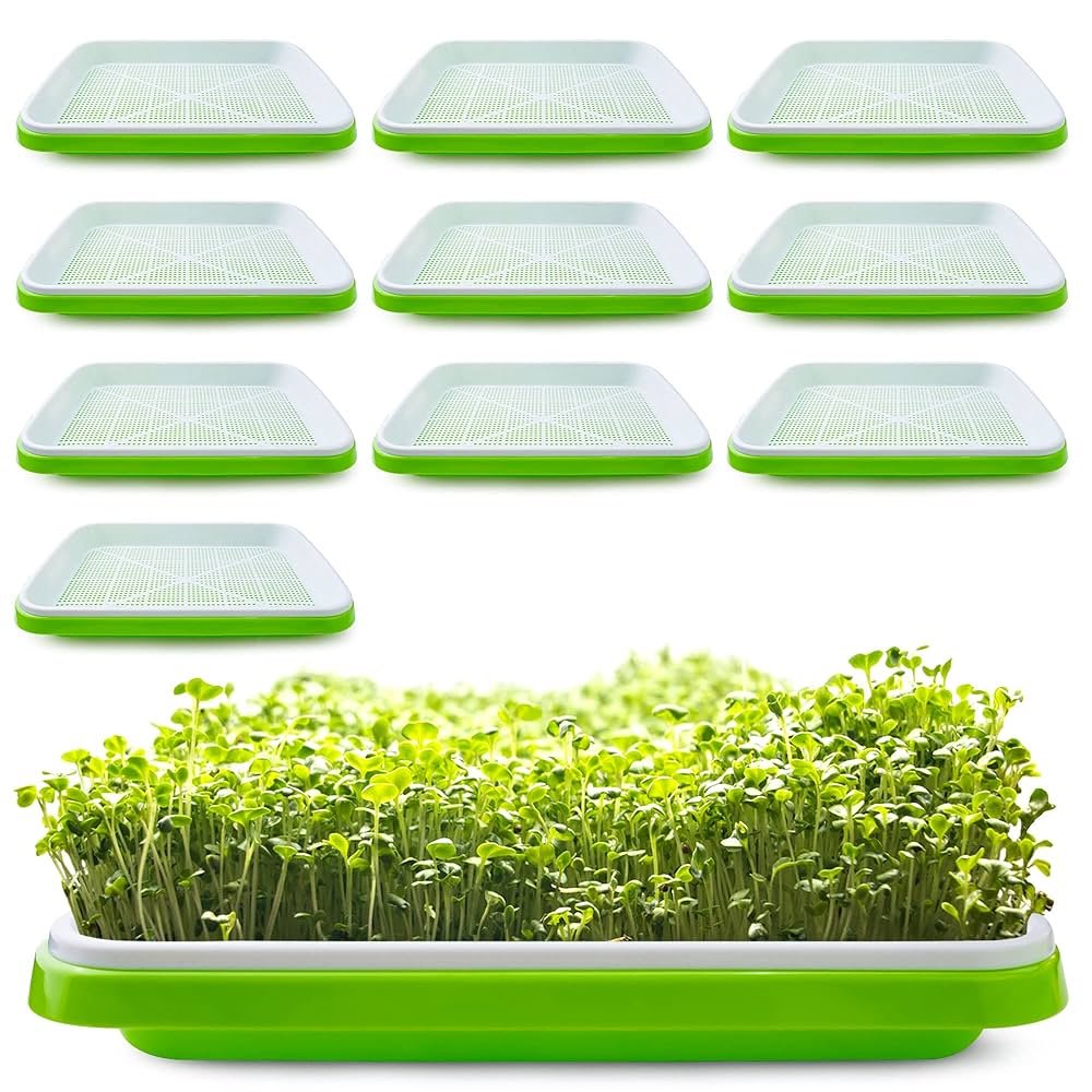 Seed Sprouting Toy Kits
