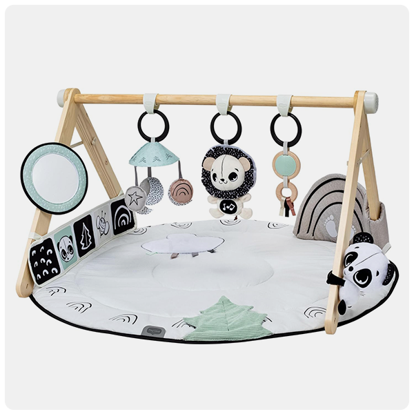Stimulating Toys for Newborns