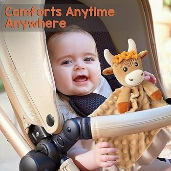 Stuffed Toy Safety for Babies