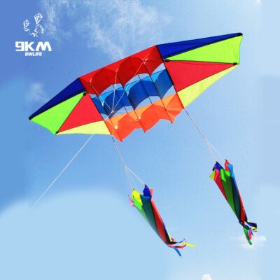 Stunt Kite for Teens Outdoor Fun