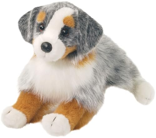 Toy Australian Shepherd Vs Miniature Australian Shepherd