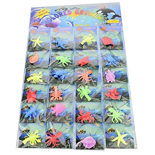 Toy Watch Jelly Watch