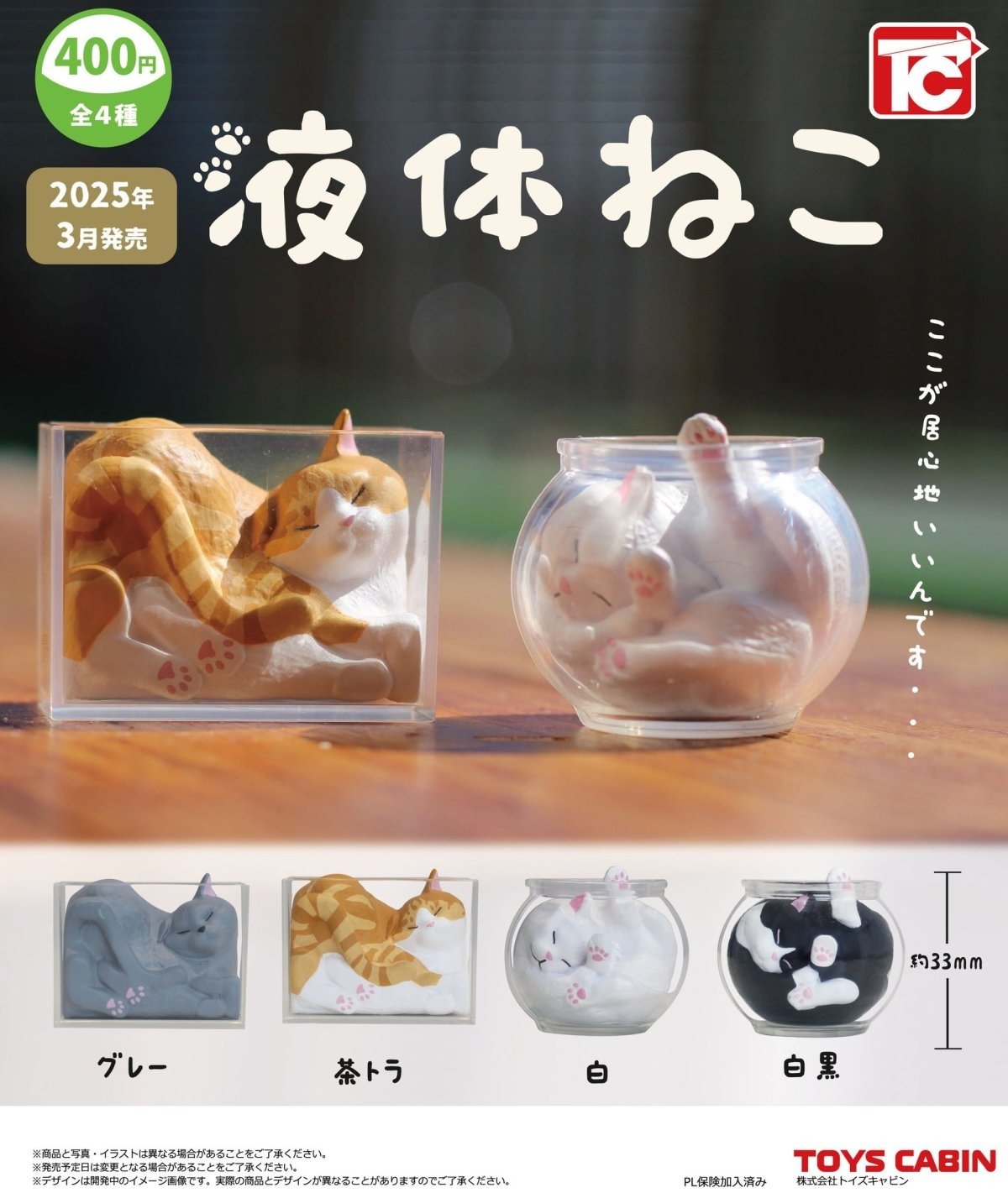 What Cats Like the Toy Capsule